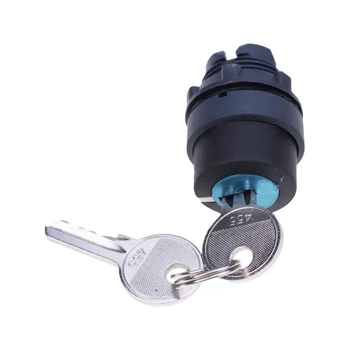 3 Position Key Switch 66811GT for Genie GR-08 GR-12 GR-15 GS-2046 GS-2646 GS-2668 GS-3246 GS-3268 GS-3384 GS-3390 GS-4390 GS-5390 3 Position Key Switch 66811GT for Genie GR-08 GR-12 GR-15 GS-2046 GS-2646 GS-2668 GS-3246 GS-3268 GS-3384 GS-3390 GS-4390 GS-5390