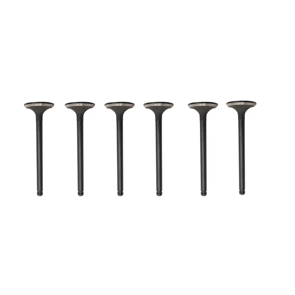 6 Pcs Exhaust Valve 6221-43-4210 for Komatsu SAA6D108E-2A-8 SAA6D108E-2A-C Engine in USA 6 Pcs Exhaust Valve 6221-43-4210 for Komatsu SAA6D108E-2A-8 SAA6D108E-2A-C Engine in USA