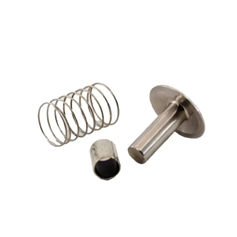 Air Compressor Parts Check Valve Kit Repair Kit 2906066000 for Atlas Copco