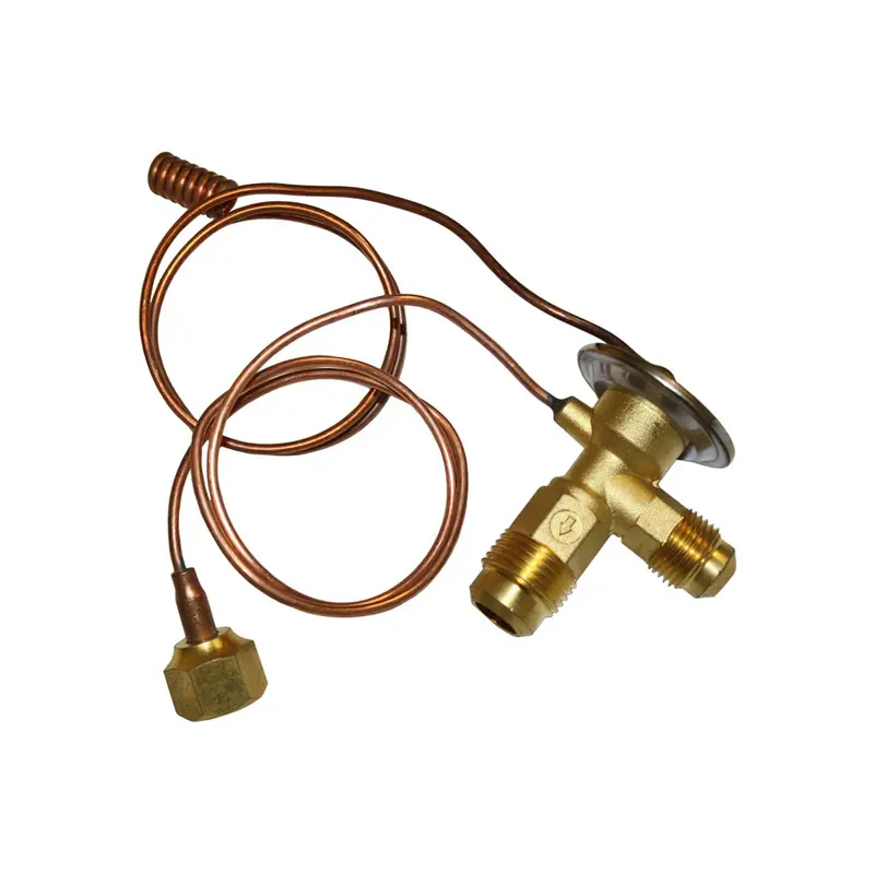 Expansion Valve 539064R1 66398C1 for CASE 1066 1466 1468 1566 1568 766 966 1086 1294 1394 1486 1494 1586 1594 Expansion Valve 539064R1 66398C1 for CASE 1066 1466 1468 1566 1568 766 966 1086 1294 1394 1486 1494 1586 1594