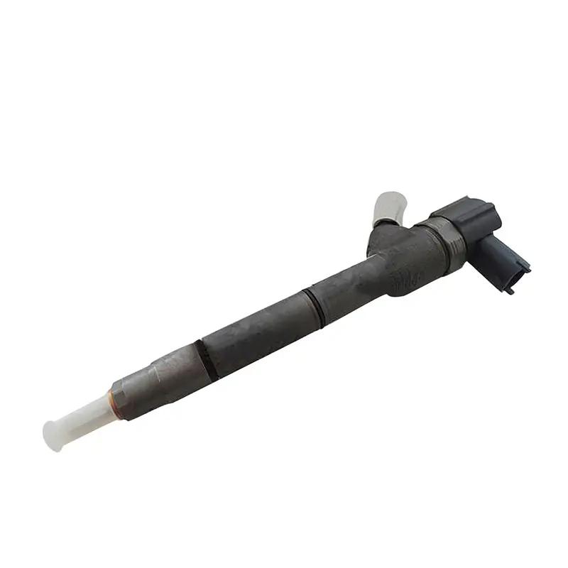 Buy Fuel Injection 0445110255 for Hyundai D4FA D4FB D3FA D4FA-G Buy Fuel Injection 0445110255 for Hyundai D4FA D4FB D3FA D4FA-G