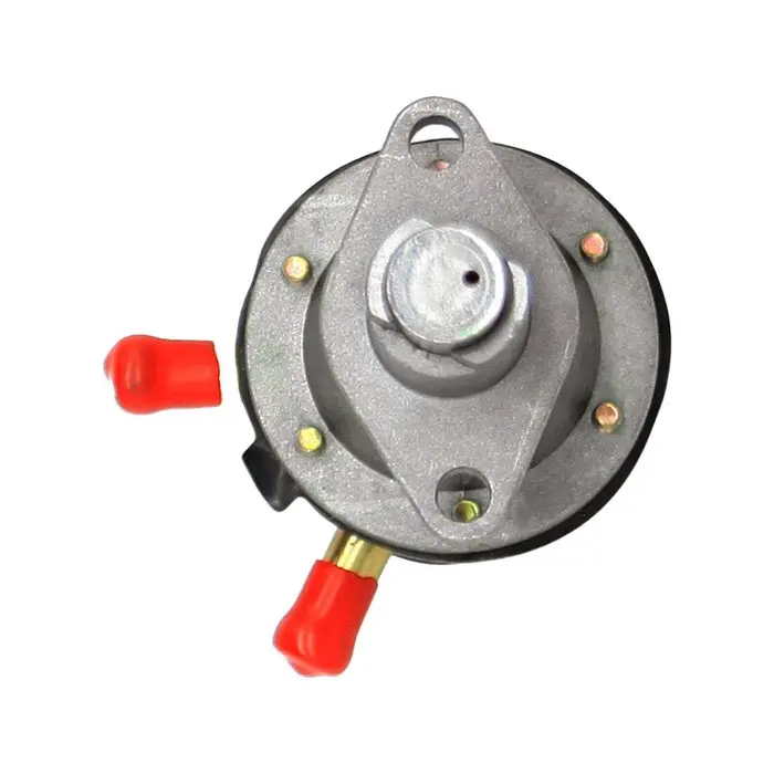 Buy Fuel Pump 6666850 for Bobcat 320 443 453 743