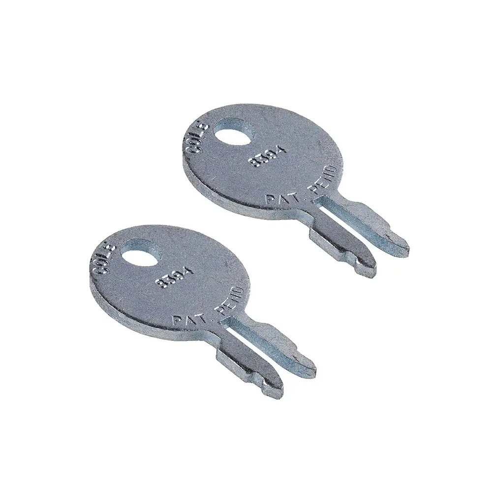 Ignition Key 180292M1 for Massey Ferguson Tractor 35 50 65 85 88 TO20 TO30 TO35