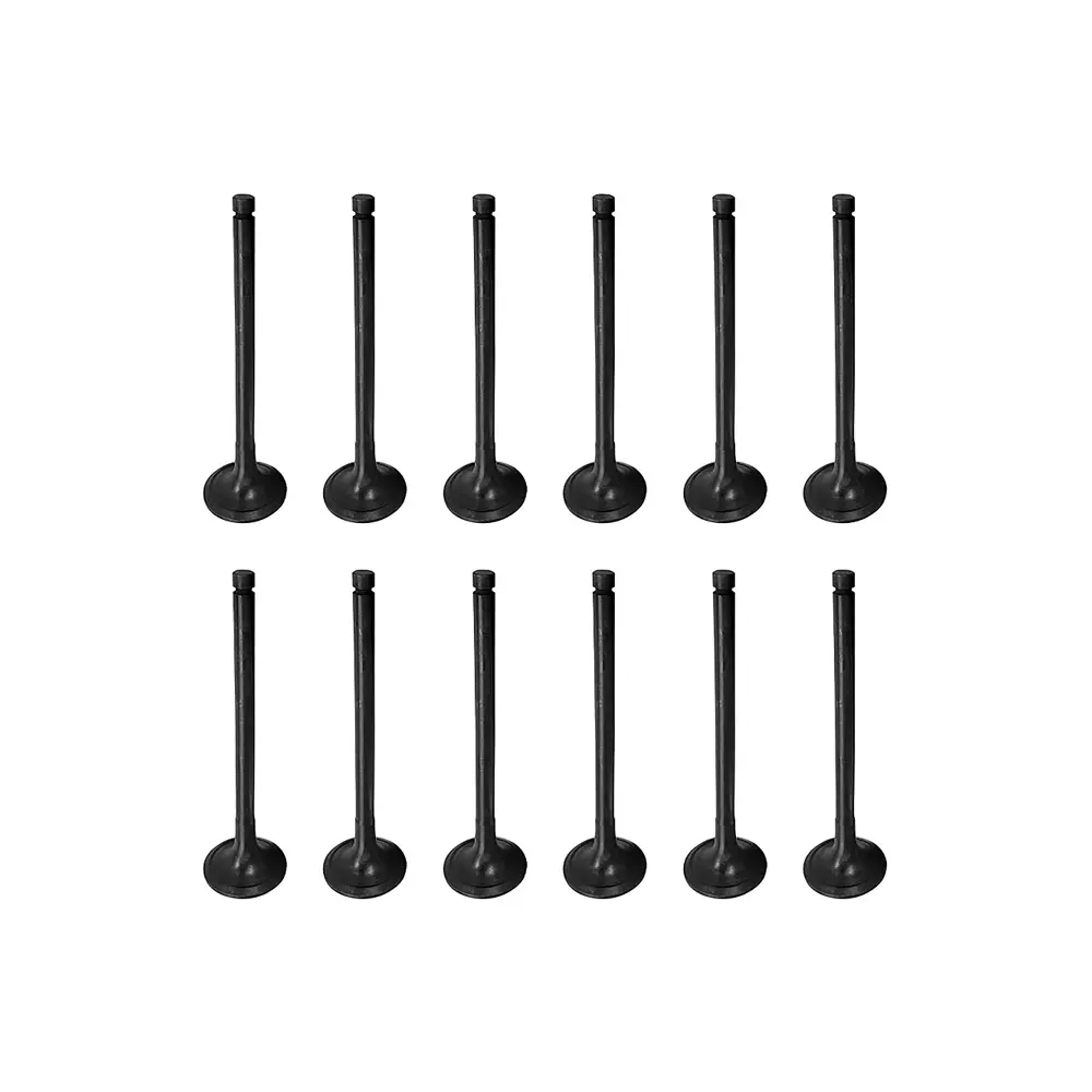 Intake Exhaust Valve Kit for Caterpillar Engine 3066 3064 Excavator 311 312C L 320B 320C Intake Exhaust Valve Kit for Caterpillar Engine 3066 3064 Excavator 311 312C L 320B 320C