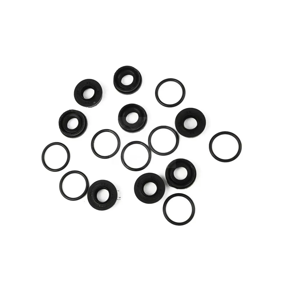 Pilot Valve Seal Kit For Case CX470B