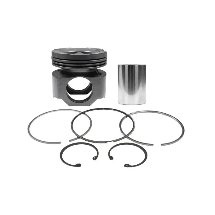 Piston Kit 2882023 for Cummins Engine in USA